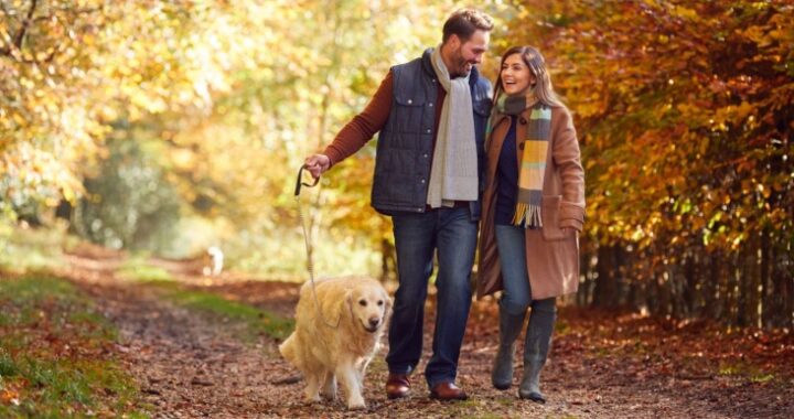 Чем полезна ходьба? Тренеры назвали 5 научно доказанных преимуществ для здоровья