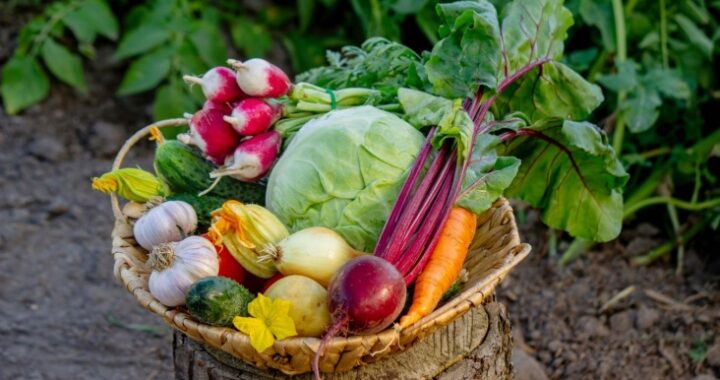 Гликемическая ловушка: 7 сезонных продуктов, которые незаметно повышают сахар в крови