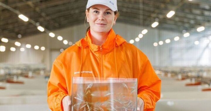 Более 1,3 млн мальков ценных рыб выпустили нефтяники в водоемы России в 2025 году