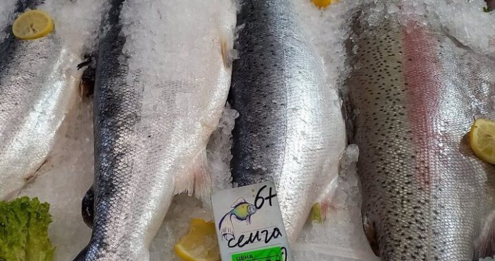 Что не так с рыбными четвергами: почему цены на лосось и минтай не снизятся