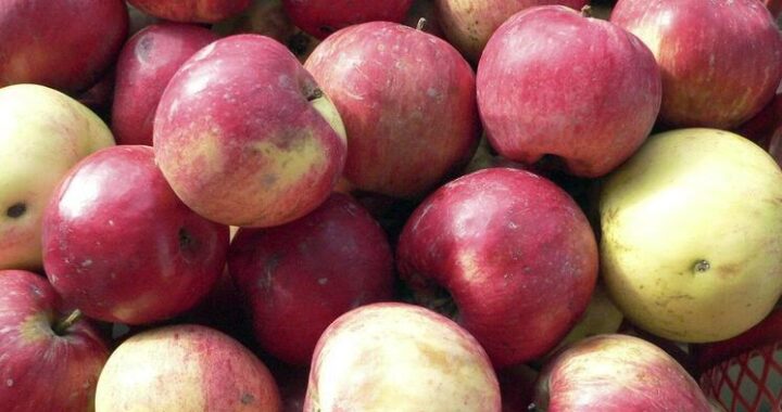 Лимоны и яблоки стремительно растут в цене: эксперты дали объяснение