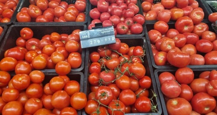 Томат-тест: эксперт назвала «подводные камни» сверхдорогих помидоров