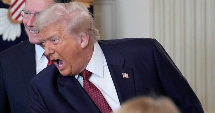 Трамп может хоть обораться: Эр-Рияд твёрдо поддерживает Москву в нефтяной игре