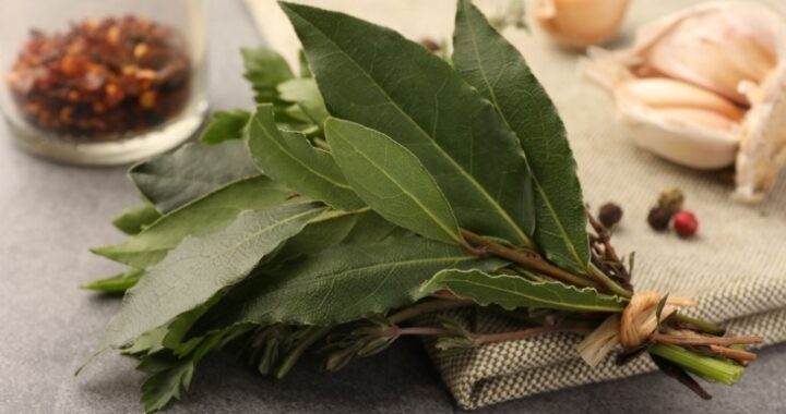 Лавровый лист: врач рассказал, чем он полезен и куда его добавлять