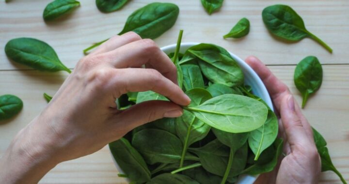 Зелёный суперфуд: врач рассказал, чем полезен шпинат и кому он может навредить